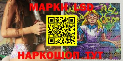 индика Владикавказ