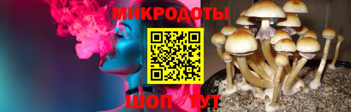 Псилоцибиновые грибы Magic Shrooms  Вход с VPN  Асбест 